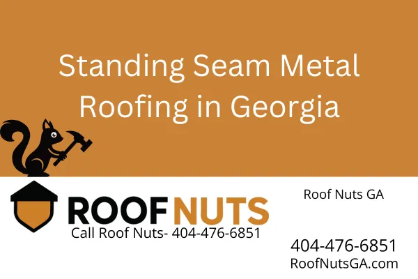 Standing Seam Metal Roofing in Georgia