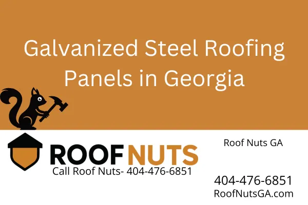 Galvanized Steel Roofing Panels in Georgia