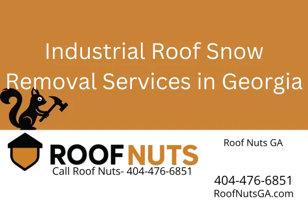 Industrial Roof Snow Removal Services in Georgia