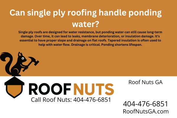 Learn how single ply roofing systems like TPO and EPDM perform under ponding water, and what Georgia homeowners should do to prevent damage and extend roof life.