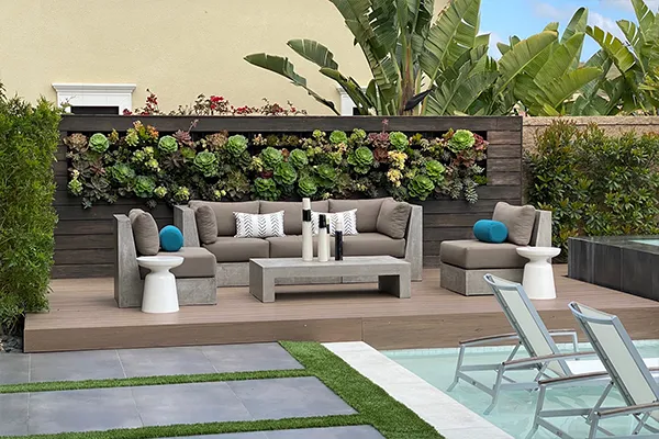 Give the gift of greenery, wellness, and beauty that lasts