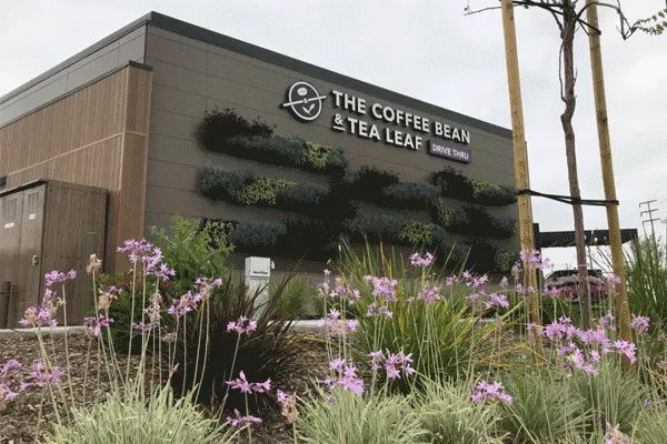 Elevation Coffee Bean and Tea Leaf