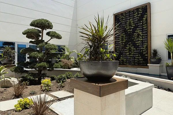 Elevation Landscape Project