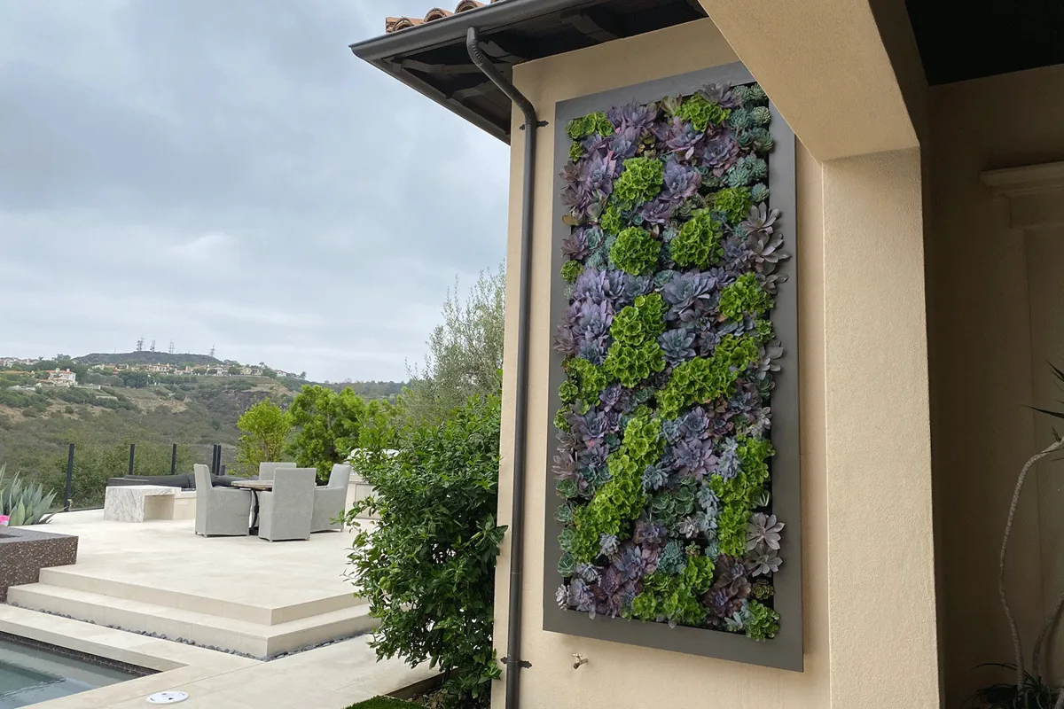 Modern vertical garden at residential entryway with vibrant succulents.