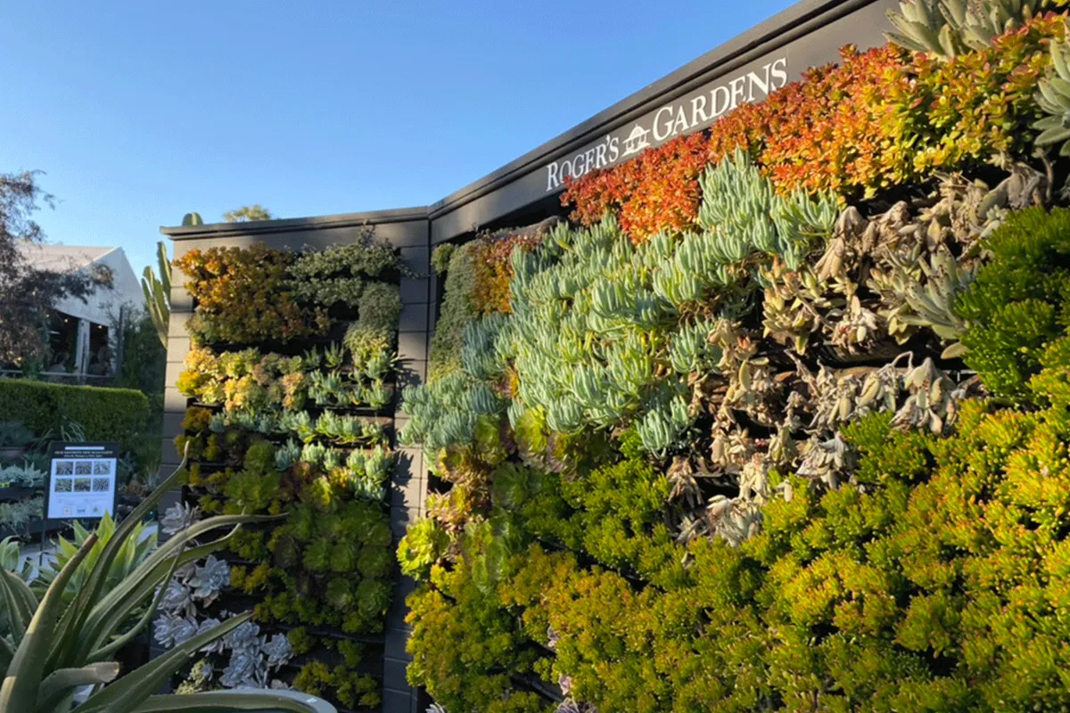 Large-scale living wall installation at a commercial building entrance.