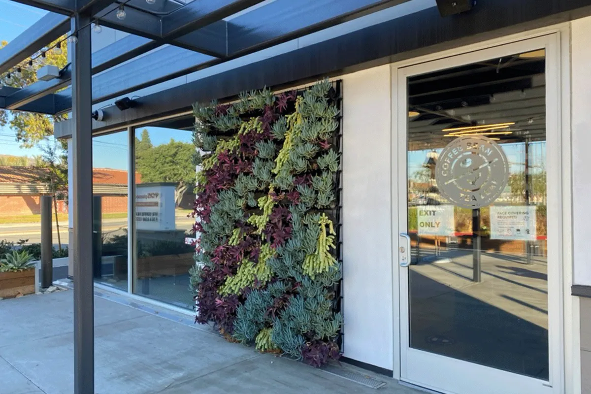 Vertical garden at luxury retail storefront with succulents and succulent plants.