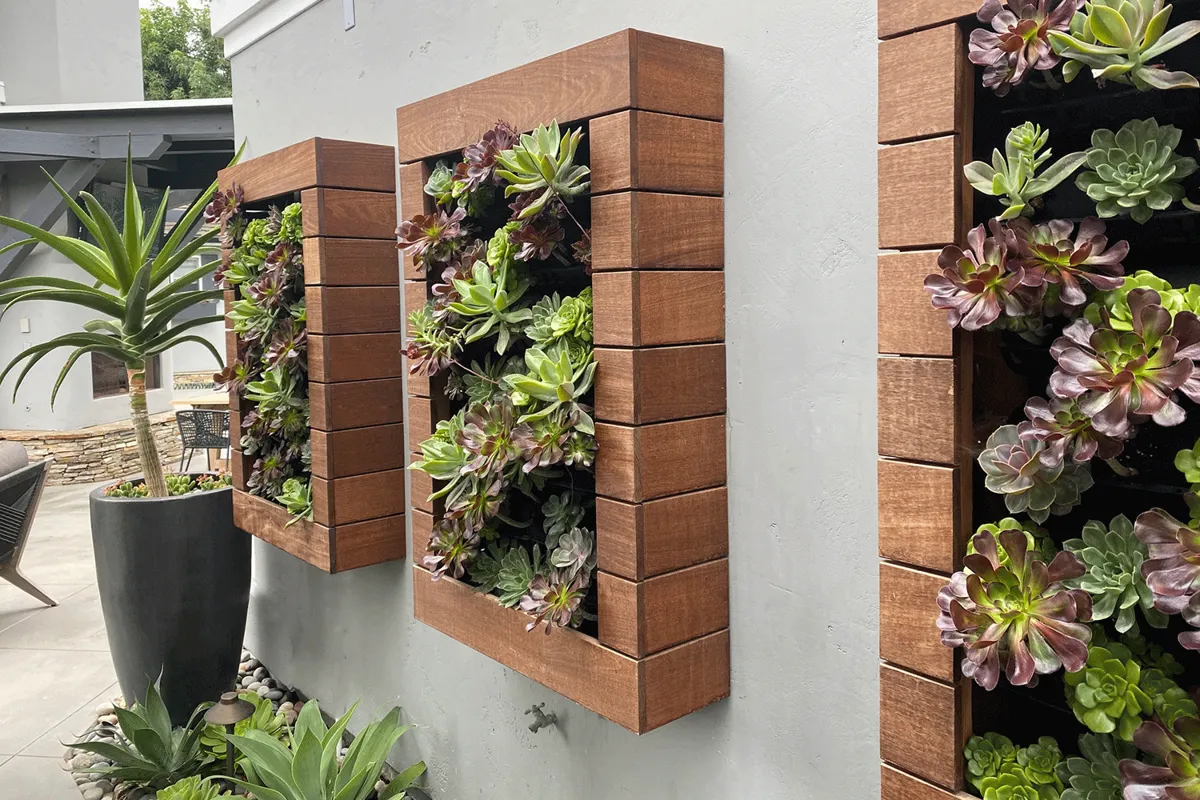 Custom modular wall-mounted planter system for living walls.
