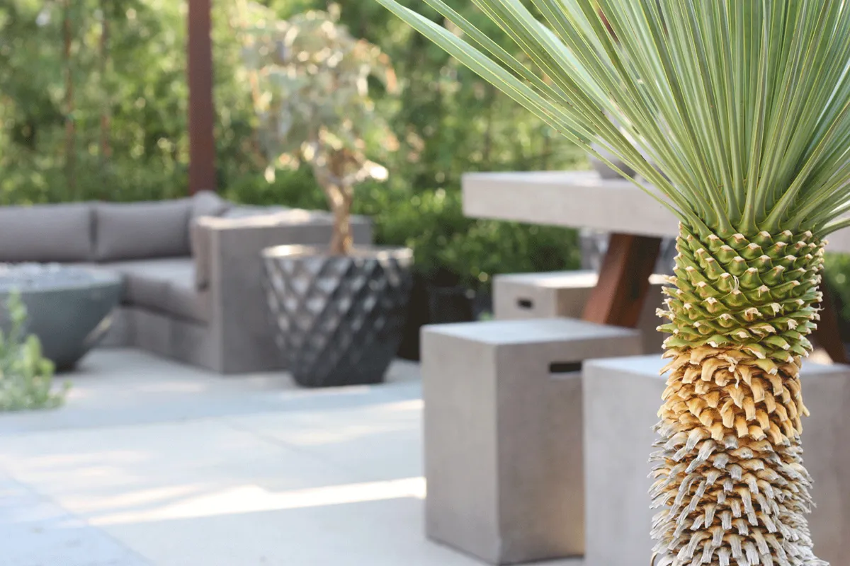 Patio seating area surrounded by lush planters and tropical greenery.