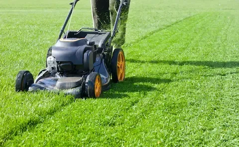 Push mower resting on neatly trimmed green grass during residential lawn service in Apple Valley