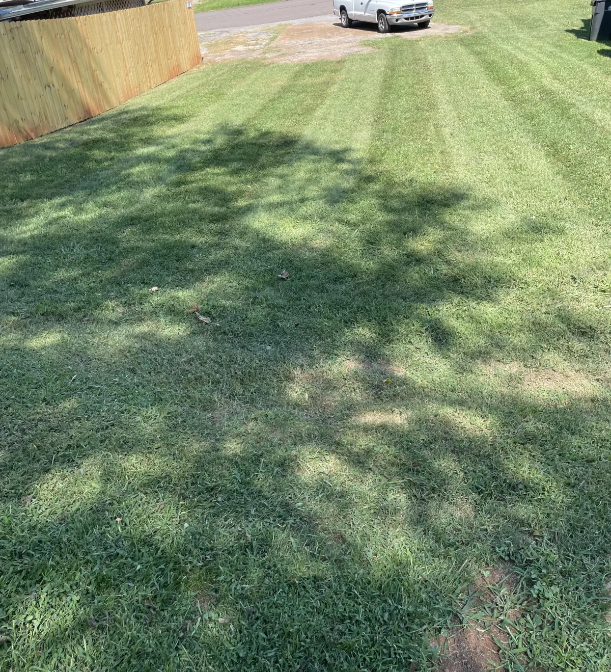 A shot of freshly mowed grass
