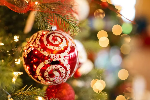 Holiday Joy!