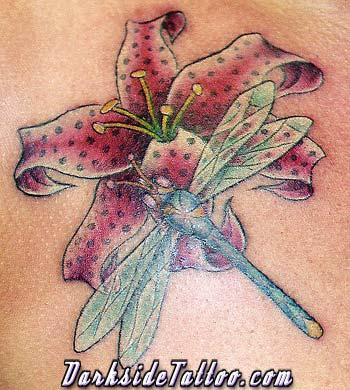 Dragon Fly and Flower
