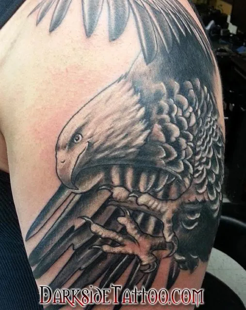 Black and Gray Eagle