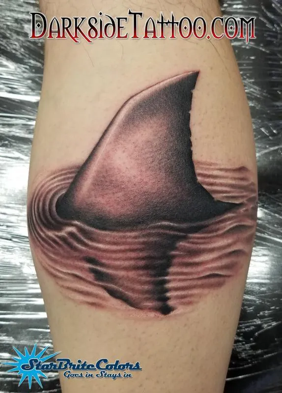Shark fin