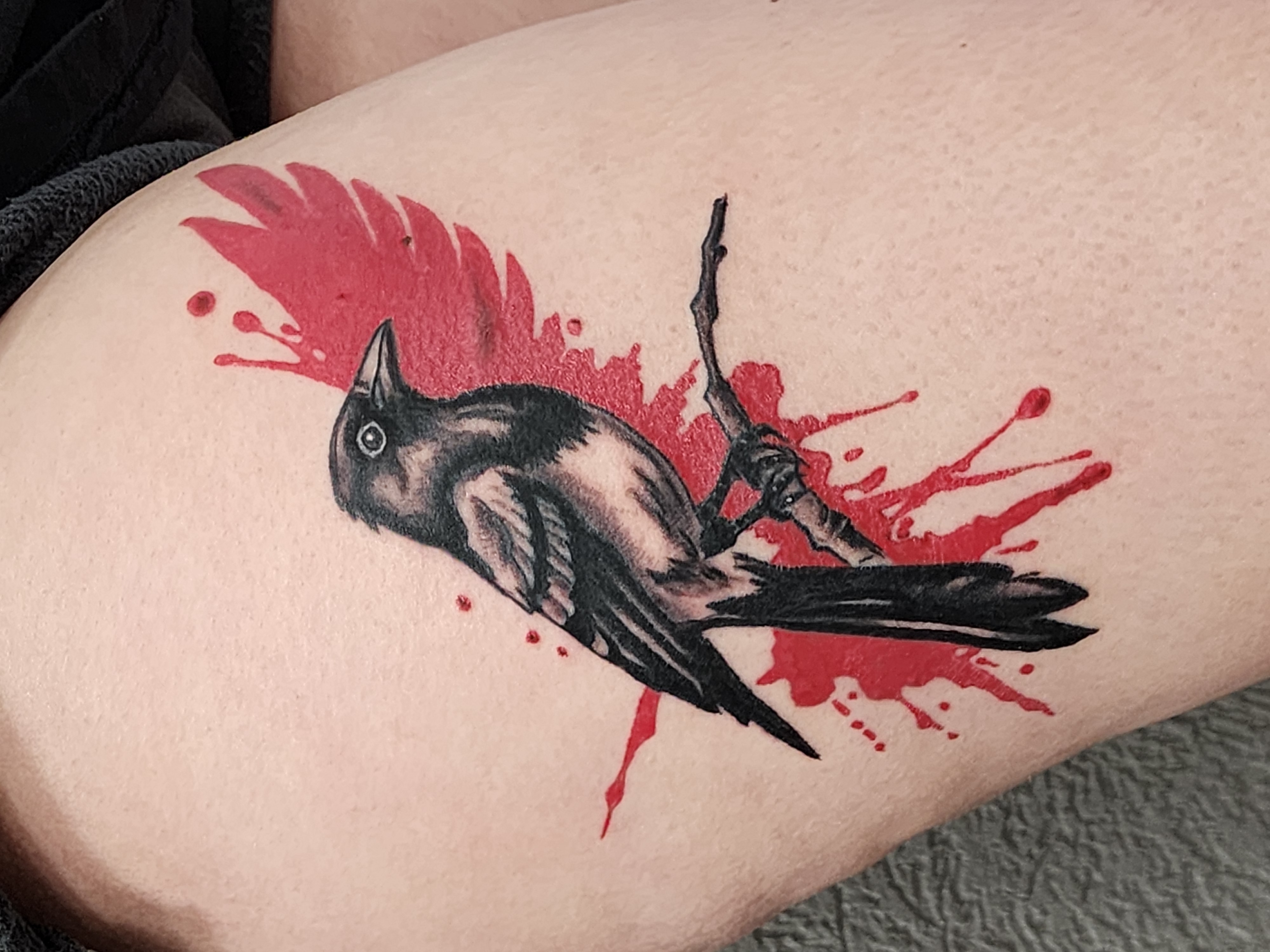 Trash Polka Black Bird