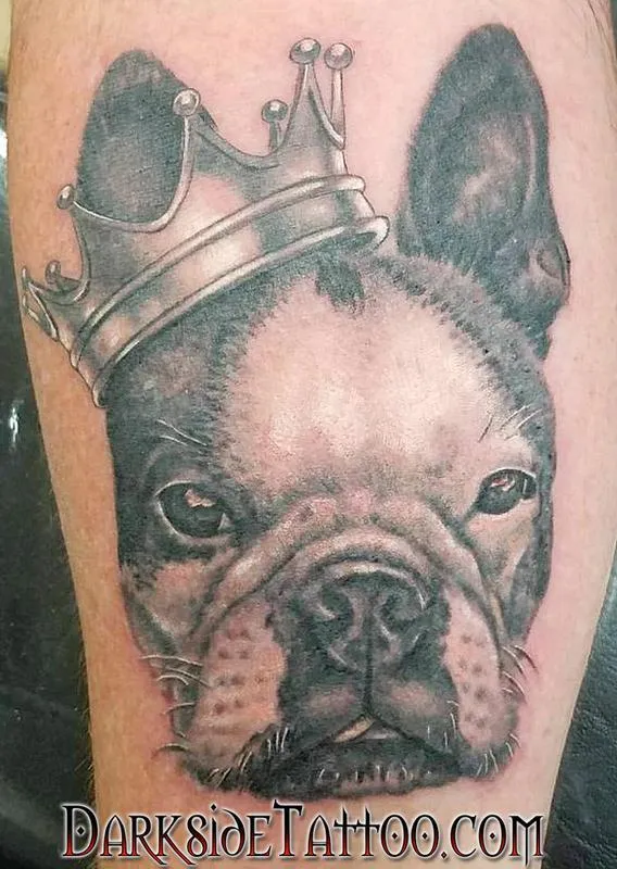 Black and Gray Bulldog Portrait