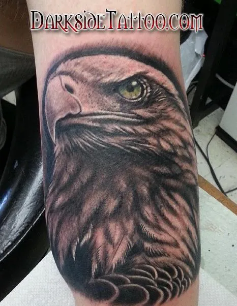 Black and Gray Bald Eagle Tattoo