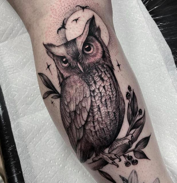 Owl