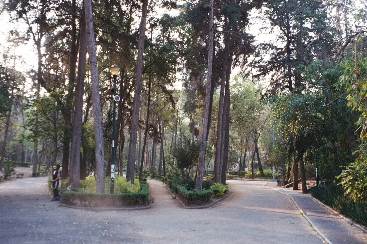 ¿Quién eliges Ser?