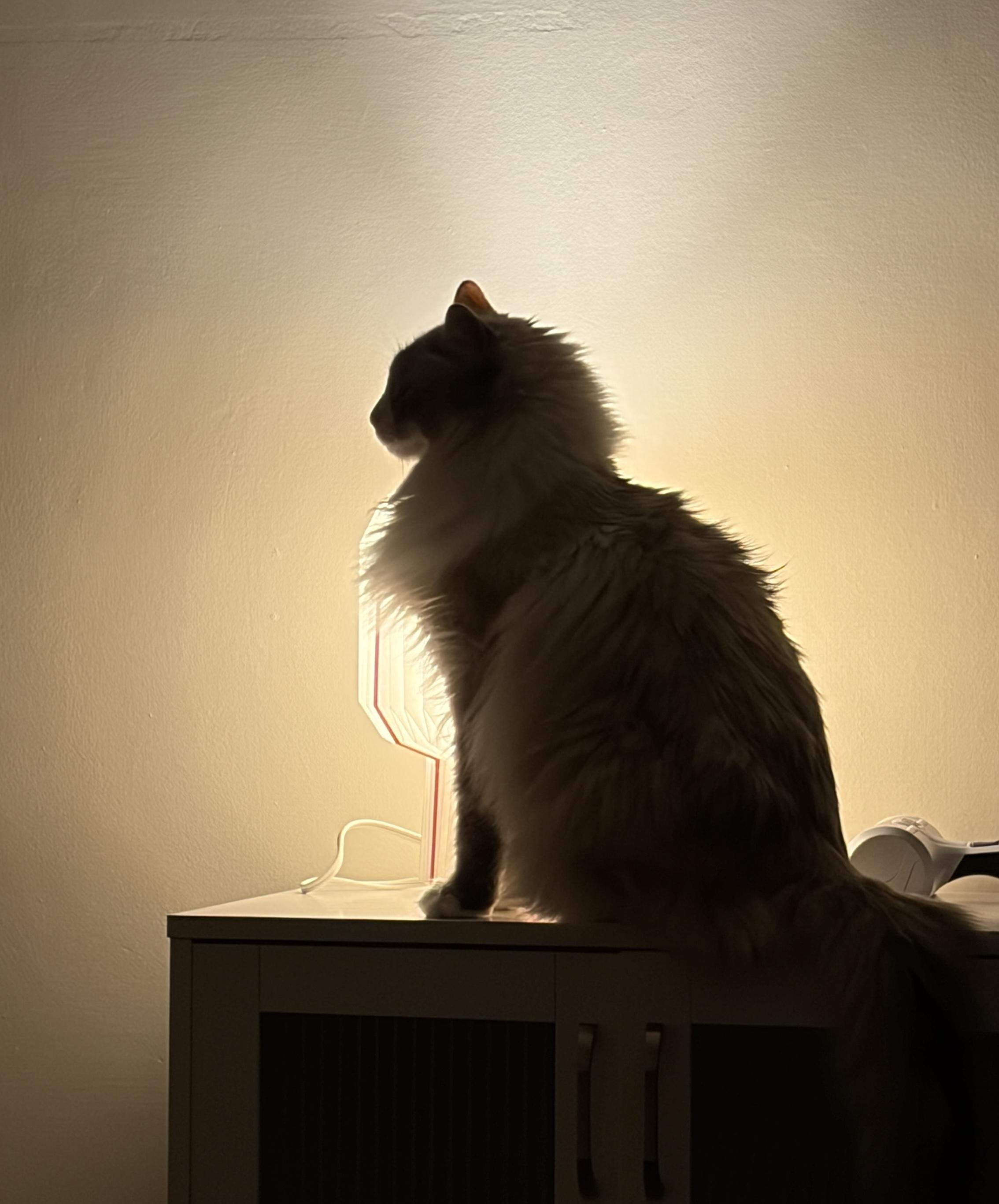 Sin objetivos en 2026