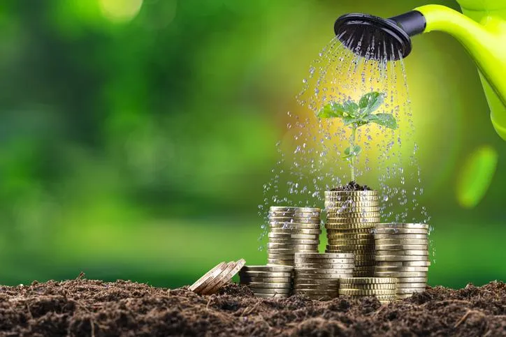 stack of coins on dirt being planted and watered