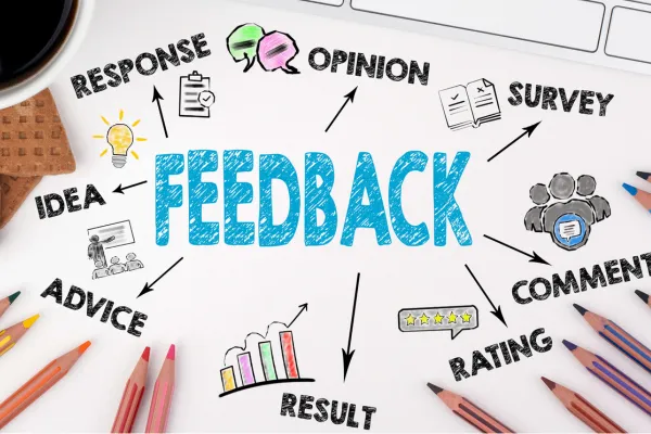 Feedback Strategies for Accountants and Bookkeepers