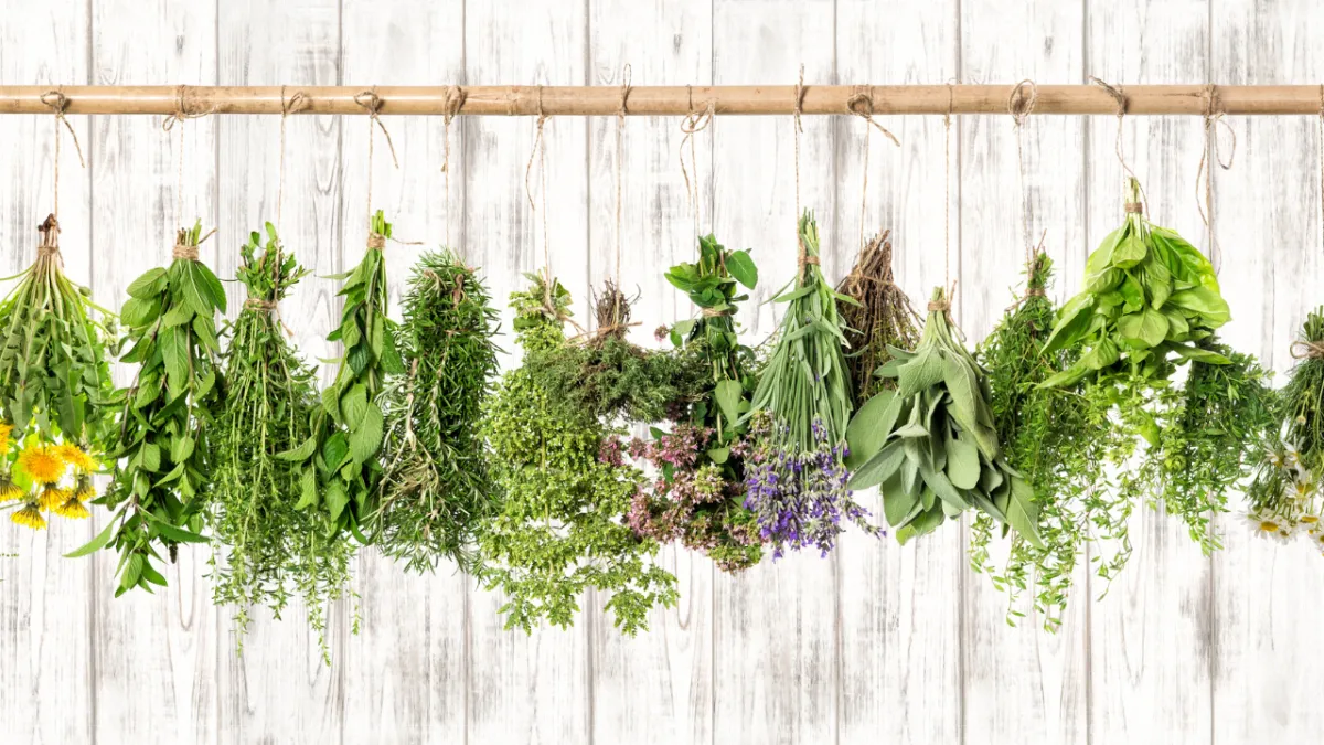 alternativas a los tratamientos tradicionales