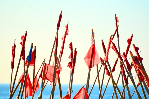 a bunch of red flags clustered together
