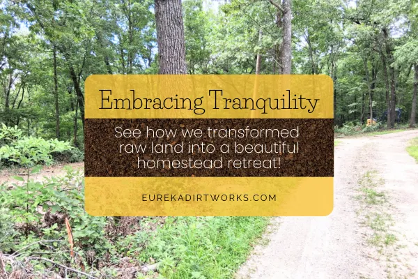 Embracing Tranquility: A Homestead Story