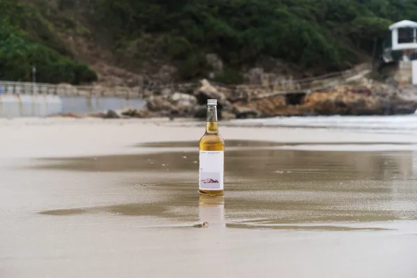 Fernet Hunter on the beach