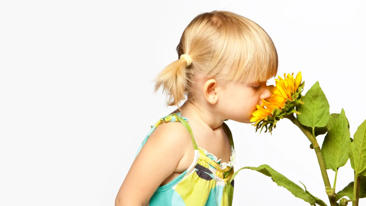 Your Sense of Smell and the Hidden Role of Your Spine