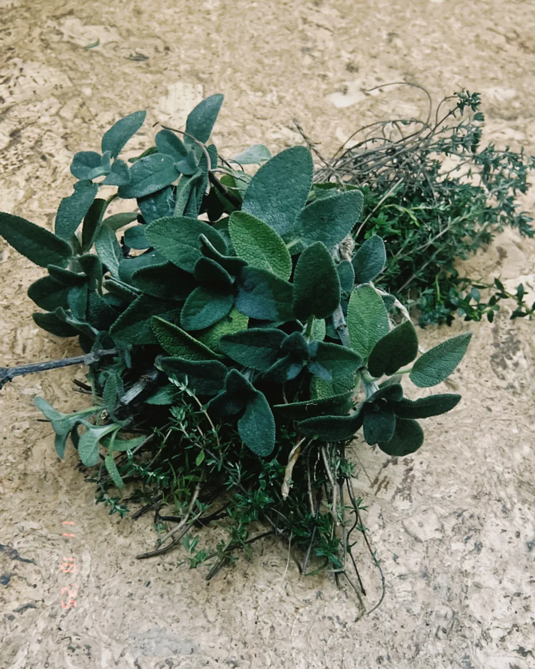 Bath Bouquets- Herbal Bath Infusions