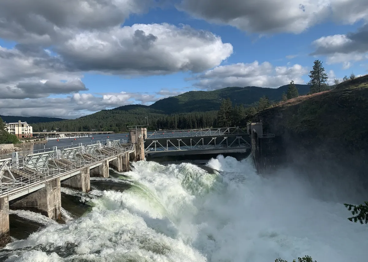 Renewables for the Win!