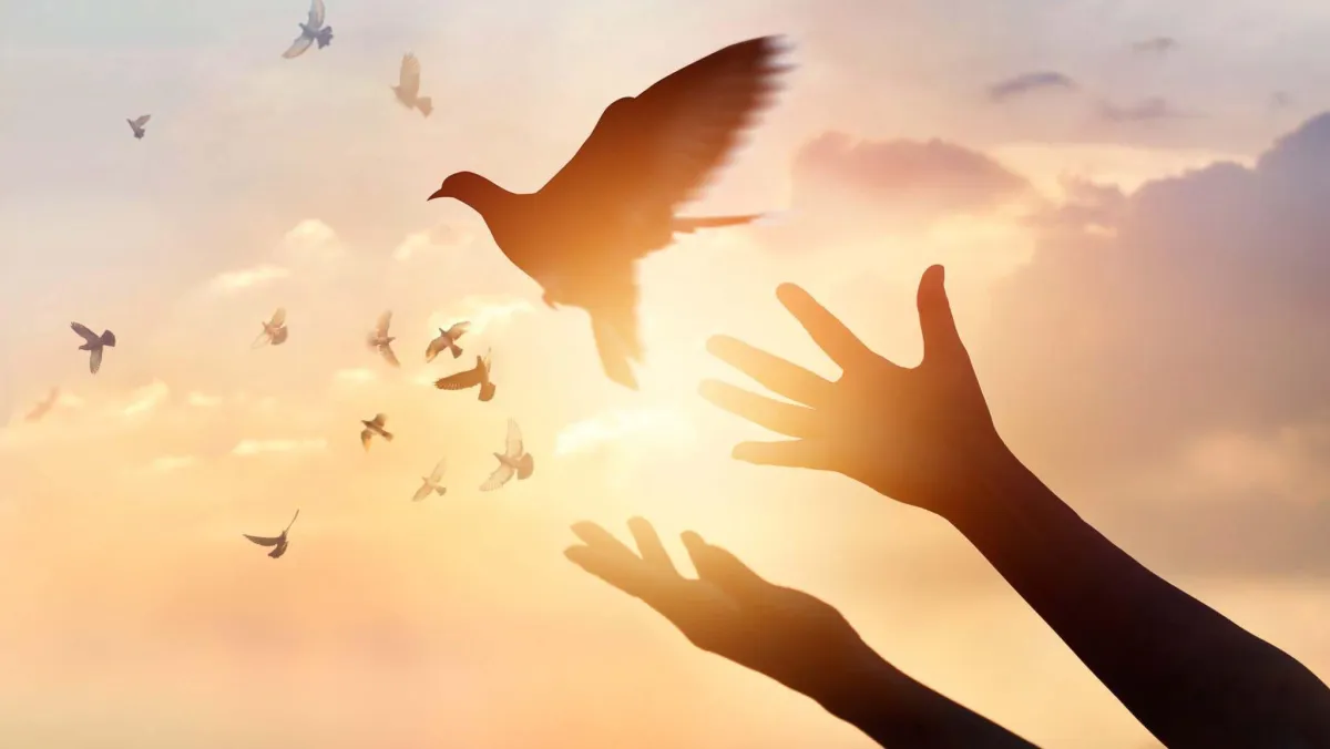 How to Forgive