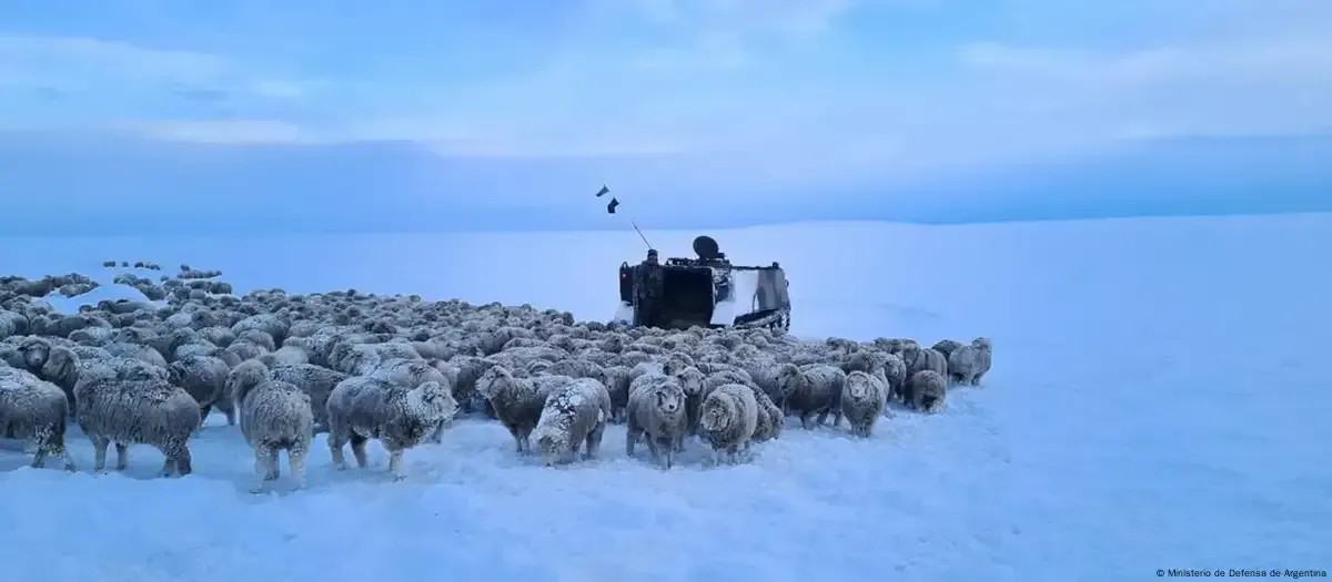 Ola de frío polar azota la Patagonia: Causas y consecuencias del fenómeno climático extremo