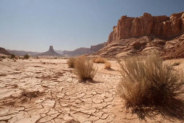 Dry Mouth & Tartar Buildup: What You Need to Know