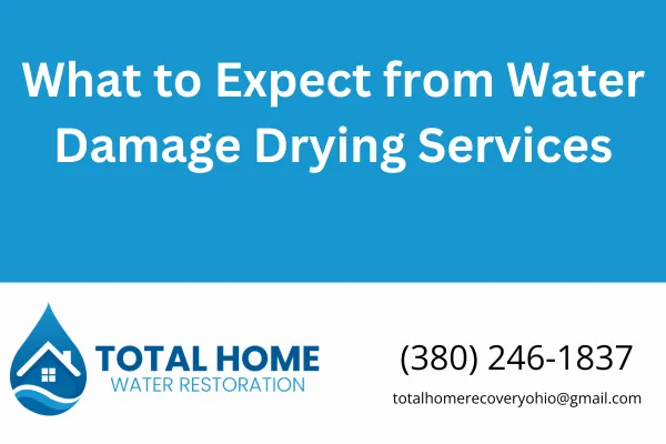 Learn exactly what happens during professional water damage drying services. Get straight answers from Grove City’s local experts at Total Home Water Restoration.