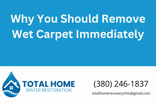 Leaving wet carpet in your Grove City or Columbus home can lead to mold, structural damage, and ruined flooring. Learn why immediate carpet removal is critical and how Total Home Water Restoration can help.