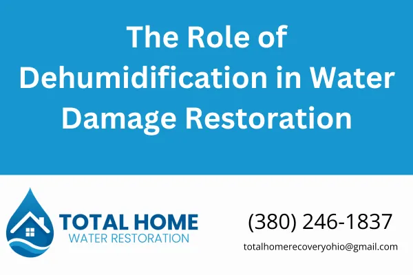 Learn how professional dehumidification services speed up drying, prevent mold, and protect your home after water damage. Trusted advice from Total Home Water Restoration in Grove City, OH.