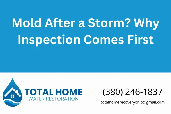 Dealing with water leaks after a storm in Grove City or Columbus? Learn why scheduling a mold inspection immediately can protect your health and home. Get local advice from Total Home Water Restoration.