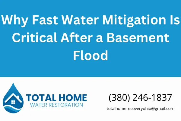 Why Fast Water Mitigation Is Critical After a Basement Flood