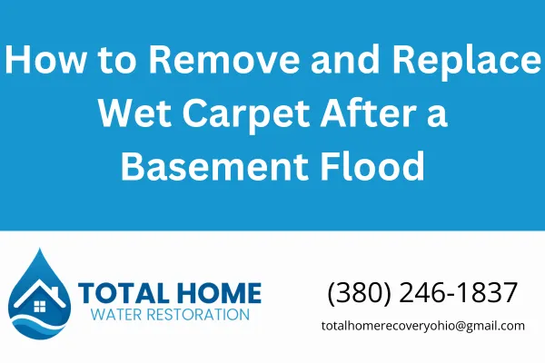 Dealing with a soaked basement carpet in Grove City or Columbus, Ohio? Learn the safe, step-by-step process for wet carpet removal and replacement from local experts at Total Home Water Restoration.
