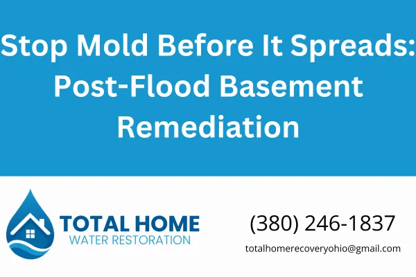 Don’t wait to handle mold after a basement flood. Learn the essential steps to stop mold in its tracks and protect your home with expert guidance from Total Home Water Restoration.