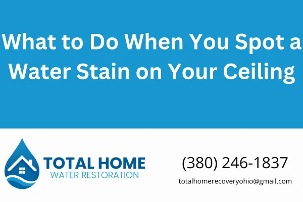 Learn the steps to take when you find a water stain on your ceiling. From identifying the source to proper drywall repair, this guide from Total Home Water Restoration in Grove City, OH, covers it all.