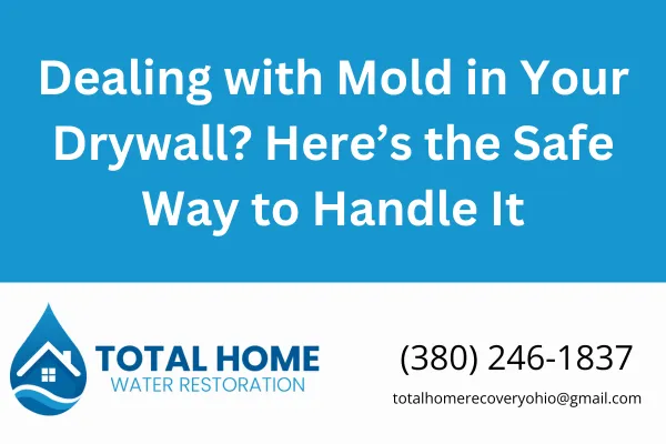 Found mold in your drywall? Learn how to safely remove and repair moldy drywall and when to call a professional. Serving Grove City, Columbus, and nearby areas.