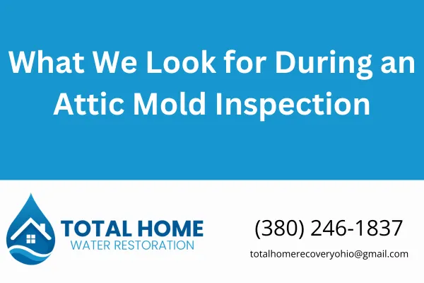 Learn what a professional attic mold inspection involves. We break down the signs we look for, how we assess mold risk, and what happens next. Serving Grove City, Columbus, and surrounding areas.
