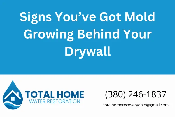 Learn the warning signs of mold behind drywall and what to do about it. Trusted mold remediation for Grove City, Columbus, and surrounding Ohio areas. Call Total Home Water Restoration.