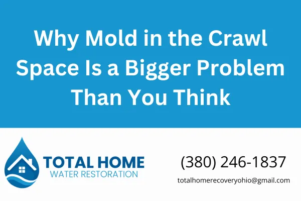 Discover why mold in your crawl space is more than a hidden nuisance. Learn the health risks, structural threats, and signs to watch for. Trusted mold remediation advice from Total Home Water Restoration in Grove City, OH.