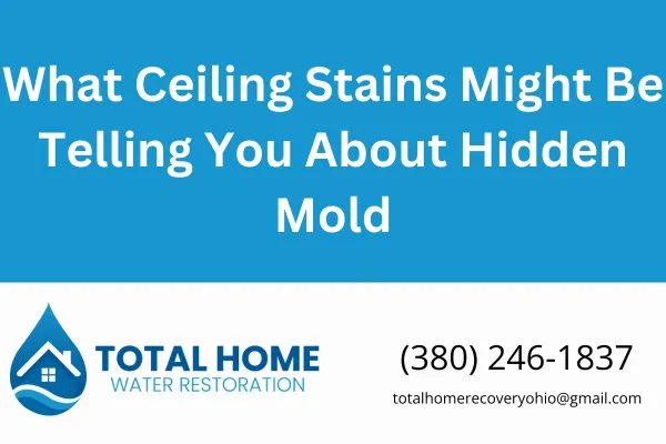What Ceiling Stains Might Be Telling You About Hidden Mold