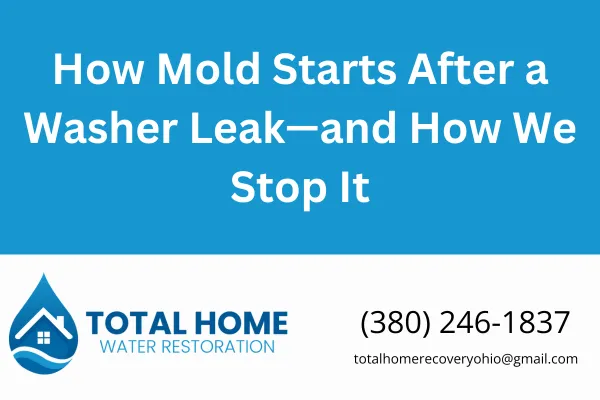 Washer leaks can lead to hidden mold in just 24–48 hours. Learn how to catch mold early, why it forms, and how Total Home Water Restoration stops it for good.